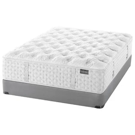 Queen Plush Mattress